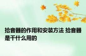 拾音器的作用和安装方法 拾音器是干什么用的