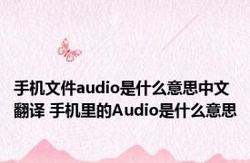手机文件audio是什么意思中文翻译 手机里的Audio是什么意思