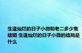 生逢灿烂的日子小微和老二多少集结婚 生逢灿烂的日子小薇的结局是什么