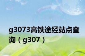 g3073高铁途经站点查询（g307）
