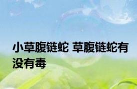 小草腹链蛇 草腹链蛇有没有毒