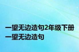 一望无边造句2年级下册 一望无边造句