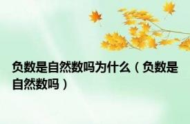 负数是自然数吗为什么（负数是自然数吗）