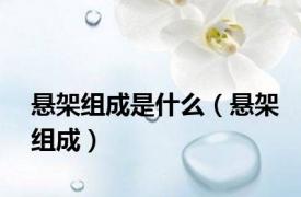 悬架组成是什么（悬架组成）