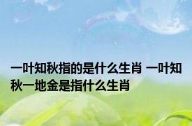 一叶知秋指的是什么生肖 一叶知秋一地金是指什么生肖