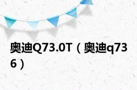 奥迪Q73.0T（奥迪q73 6）