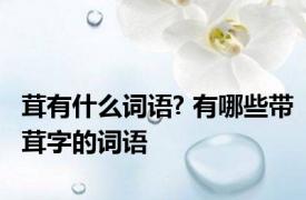 茸有什么词语? 有哪些带茸字的词语