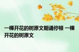 一棵开花的树原文朗诵停顿 一棵开花的树原文 