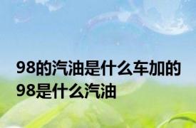 98的汽油是什么车加的 98是什么汽油