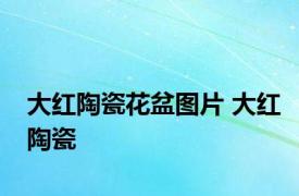 大红陶瓷花盆图片 大红陶瓷 