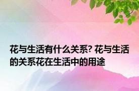 花与生活有什么关系? 花与生活的关系花在生活中的用途