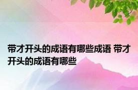 带才开头的成语有哪些成语 带才开头的成语有哪些