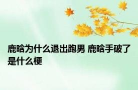 鹿晗为什么退出跑男 鹿晗手破了是什么梗