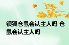 银狐仓鼠会认主人吗 仓鼠会认主人吗