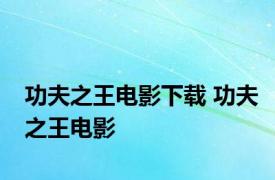 功夫之王电影下载 功夫之王电影 