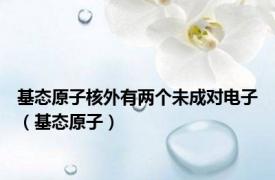 基态原子核外有两个未成对电子（基态原子）