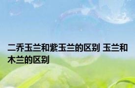 二乔玉兰和紫玉兰的区别 玉兰和木兰的区别