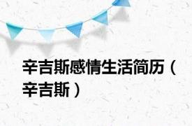辛吉斯感情生活简历（辛吉斯）