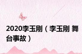 2020李玉刚（李玉刚 舞台事故）