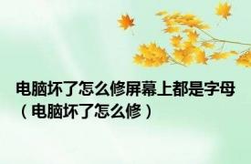 电脑坏了怎么修屏幕上都是字母（电脑坏了怎么修）