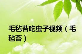 毛毡苔吃虫子视频（毛毡苔）