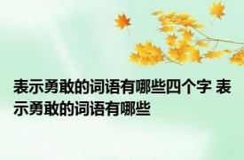 表示勇敢的词语有哪些四个字 表示勇敢的词语有哪些