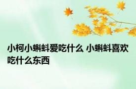 小柯小蝌蚪爱吃什么 小蝌蚪喜欢吃什么东西