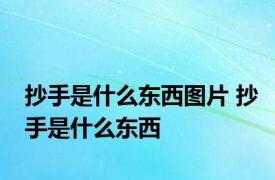 抄手是什么东西图片 抄手是什么东西