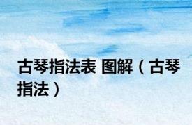 古琴指法表 图解（古琴指法）