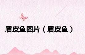 盾皮鱼图片（盾皮鱼）
