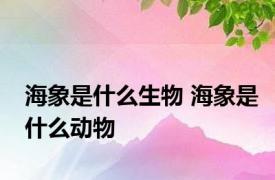 海象是什么生物 海象是什么动物