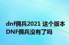 dnf佣兵2021 这个版本DNF佣兵没有了吗