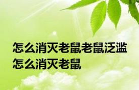 怎么消灭老鼠老鼠泛滥 怎么消灭老鼠