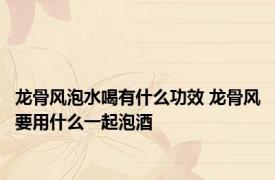 龙骨风泡水喝有什么功效 龙骨风要用什么一起泡酒