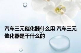 汽车三元催化器什么用 汽车三元催化器是干什么的