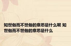 知世俗而不世俗的意思是什么呢 知世俗而不世俗的意思是什么