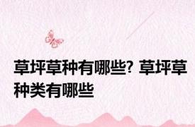 草坪草种有哪些? 草坪草种类有哪些