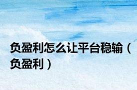 负盈利怎么让平台稳输（负盈利）