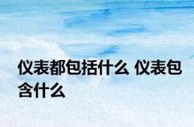 仪表都包括什么 仪表包含什么