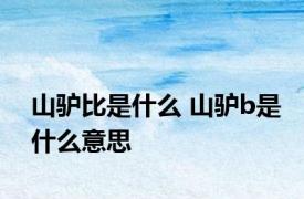 山驴比是什么 山驴b是什么意思