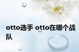 otto选手 otto在哪个战队