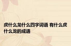 虎什么龙什么四字词语 有什么虎什么龙的成语
