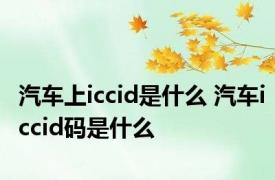 汽车上iccid是什么 汽车iccid码是什么