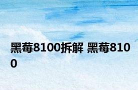 黑莓8100拆解 黑莓8100 