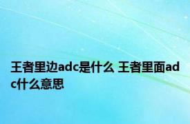 王者里边adc是什么 王者里面adc什么意思