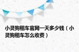 小灵狗租车官网一天多少钱（小灵狗租车怎么收费）