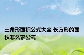 三角形面积公式大全 长方形的面积怎么求公式
