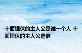 十面埋伏的主人公是谁一个人 十面埋伏的主人公是谁