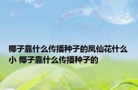 椰子靠什么传播种子的凤仙花什么小 椰子靠什么传播种子的