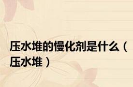 压水堆的慢化剂是什么（压水堆）